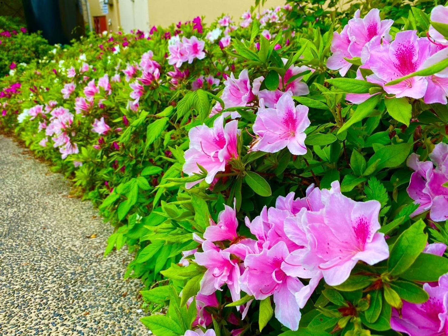 Bekkan Yosanoso มิยาสึ ภายนอก รูปภาพ